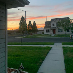 Meet your Posher, Lizbeth